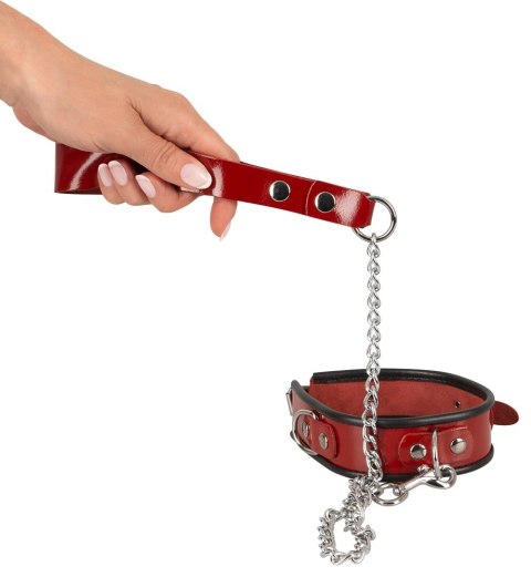 Leather Collar and Leash Leather Collar and Leash