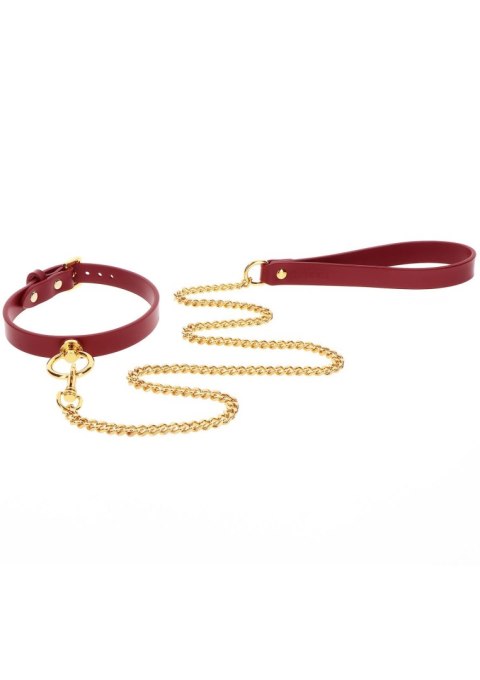 O-Ring Collar and Chain Leash O-Ring Collar and Chain Leash