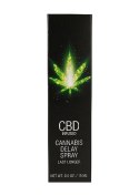 CBD Cannabis Delay Spray - 15 ml