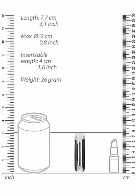 10 Speed Rechargeable Bullet - Silver 10 Speed Rechargeable Bullet - Silver