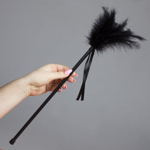 Plumero Plumas Negro (black) Plumero Plumas Negro (black)
