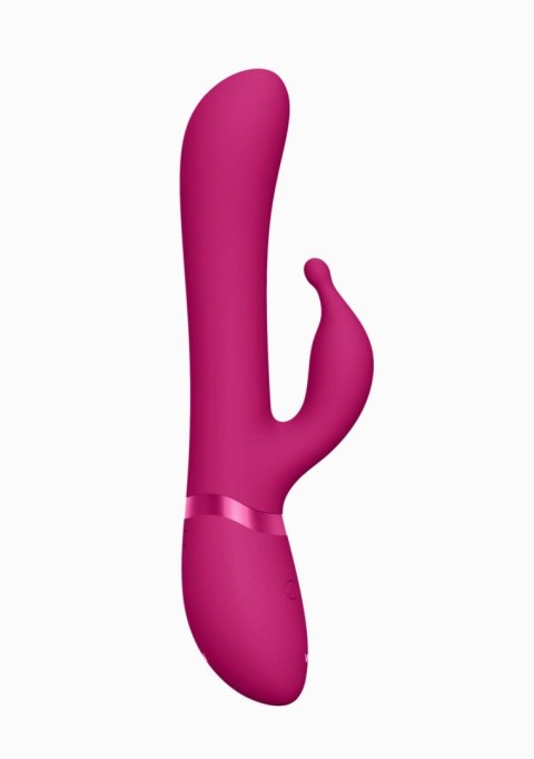 Chou - Pink Chou - Pink