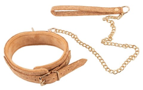 Collar plus Leash Vegan Collar plus Leash Vegan