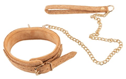 Collar plus Leash Vegan Collar plus Leash Vegan