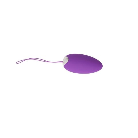 Wibrujące jajeczko sex stymulator pilot 10 trybów Wibrujące jajeczko sex stymulator pilot 10 trybów