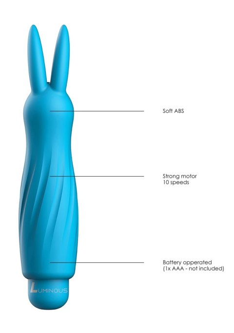 Pociskowy mini wibrator 2 końcówki 10 trybów Pociskowy mini wibrator 2 końcówki 10 trybów
