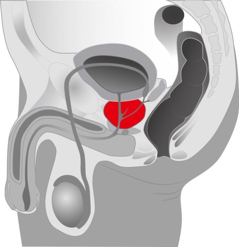 Rotacyjny masażer prostaty wibrator 5 trybów 20cm Rotacyjny masażer prostaty wibrator 5 trybów 20cm