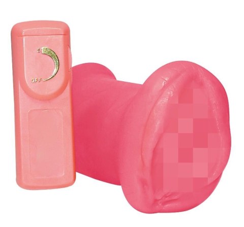 Masturbator Girl´s Pussy Masturbator Girl´s Pussy