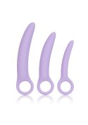 Alena Set of 3 Dilators Purple