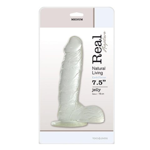 Dildo z przyssawką jądrami realistyczny penis 19cm Dildo z przyssawką jądrami realistyczny penis 19cm