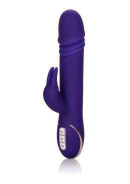 Wibrator-JACK RABBITSIGNATURE PURPLE