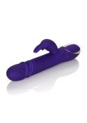 Wibrator-JACK RABBITSIGNATURE PURPLE