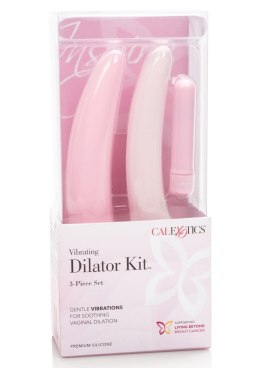 Wibrator-INSPIRE VIBRATING DILATOR KIT