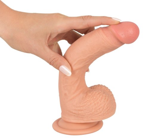 Prawdziwy penis żyły jądra główka naturlany 21cm Prawdziwy penis żyły jądra główka naturlany 21cm