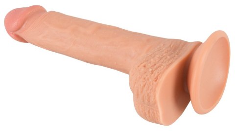 Prawdziwy penis żyły jądra główka naturlany 21cm Prawdziwy penis żyły jądra główka naturlany 21cm