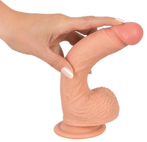 Prawdziwy penis żyły jądra główka naturlany 21cm Prawdziwy penis żyły jądra główka naturlany 21cm