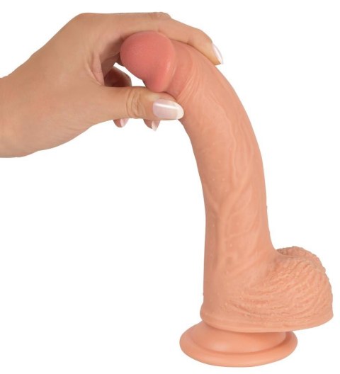 Prawdziwy penis żyły jądra główka naturlany 21cm Prawdziwy penis żyły jądra główka naturlany 21cm