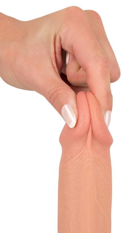 Prawdziwy penis żyły jądra główka naturlany 21cm Prawdziwy penis żyły jądra główka naturlany 21cm
