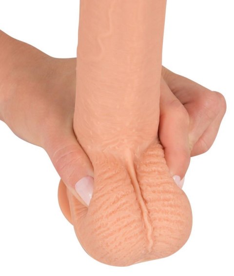 Prawdziwy penis żyły jądra główka naturlany 21cm Prawdziwy penis żyły jądra główka naturlany 21cm